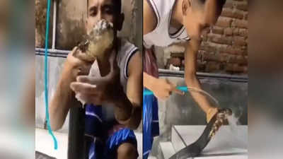 Viral Video: বাথরুমে শ্যাম্পু মাখিয়ে কিং কোবরাকে করালেন স্নান! যুবকের কাণ্ডে চক্ষু চড়কগাছ, প্রকাশ্যে ভিডিয়ো