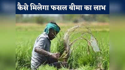 Chhattisgarh News: क्या है फसल बीमा योजना की आखिरी तारीख? जानिए किसानों को किस तरह से मिल सकता है लाभ