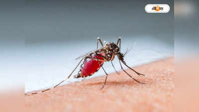 Dengue Fever : বাংলাদেশে হু হু করে বাড়ছে ডেঙ্গি সংক্রমণ! দৈনিক আক্রান্ত ২ হাজার পার