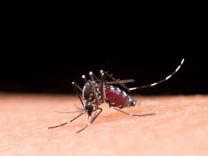 डेंगू के मामलों में तेजी से इजाफा हुआ