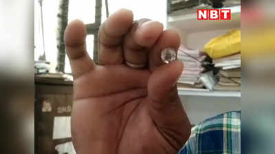 Panna News Today Live: दंपत्ति को मिला 30 लाख का हीरा, 3 महीने की मेहनत के बाद 12वीं बार चमकी किस्मत