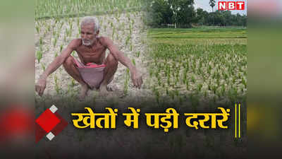 Bihar Monsoon Update: मॉनसून ने दिया बिहार को तगड़ा झटका, 48 फीसदी कम बारिश ने किसानों की कैसे बढ़ाई मुश्किल