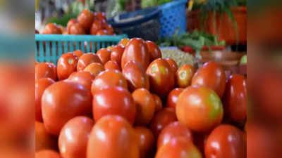 Tomato Rate: टोमॅटोची डबल सेंच्युरी कायम, पालेभाज्यांचे दर घसरले, बाजारात आल्याची चमक कायम
