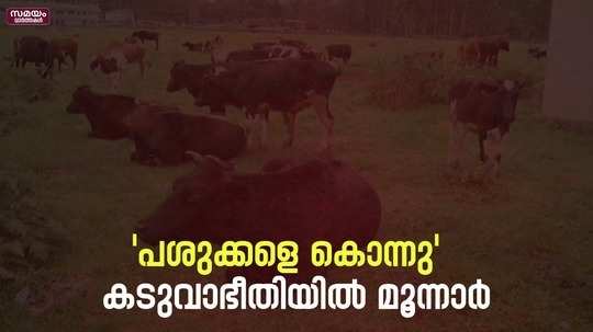 idukki munnar farmers against forest department on tiger issue