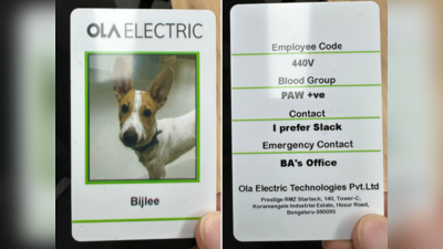 बिजली को इस कंपनी में मिली नौकरी, CEO ने आईडी कार्ड शेयर किया तो तस्वीर देखकर पब्लिक खुश हो गई