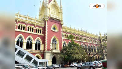 Calcutta High Court : সাসপেন্ডের সুপারিশকে চ্যালেঞ্জ BDO-র! সিঙ্গল বেঞ্চে মামলা ফেরত পাঠাল হাইকোর্ট