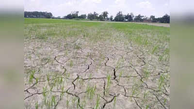Bundelkhand में बारिश ना होने से सूखे के आसार, केंद्र तक पहुंची आहट, Yogi सरकार रिपोर्ट तैयार करने में जुटी