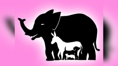 Optical Illusion: हाथी के अलावा तस्वीर में हैं कई अलग-अलग जानवर, आपने क्या देखा?