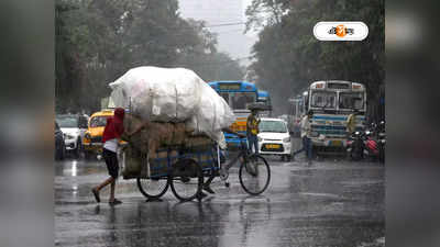 Kolkata Traffic Update : ঝড়-বৃষ্টিতে একাধিক রাস্তায় গাছের ডাল পড়ে বিপত্তি, জানুন আজকের ট্রাফিক আপডেট