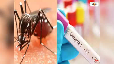 Dengue Fever : ডেঙ্গির ভাইরাস গ্রামেও, সংক্রমণের শীর্ষে নদিয়া