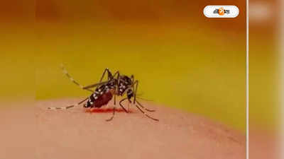 Dengue New Variant : দিল্লিতে ডেঙ্গির বিপজ্জনক স্ট্রেনের হদিস, জারি সতর্কবার্তা