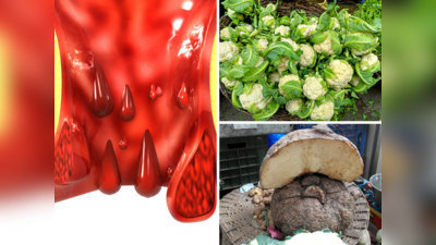 5 Best Vegetables For Piles: बवासीर के मस्से सूखा देंगी ये 5 देसी सब्जियां, खुद बहार निकलेगा आंतों में फंसा मल