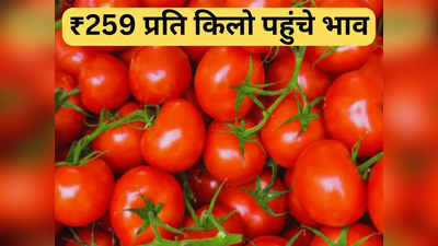 Tomato Price: टमाटर की कीमतें फिर पहुंची आसमान पर, मदर डेयरी के सफल स्टोर पर 259 रुपये किलो पर बिक रहा