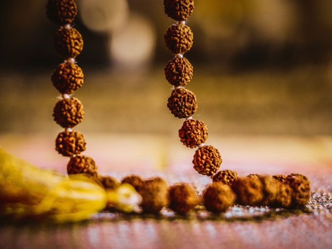 rudraksha