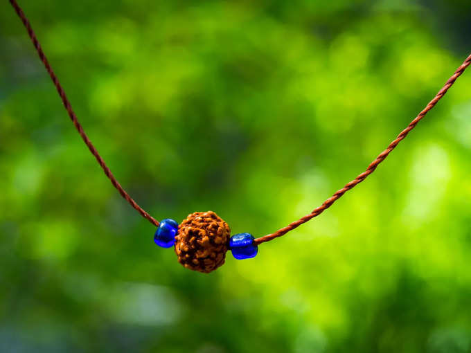 Rudraksha