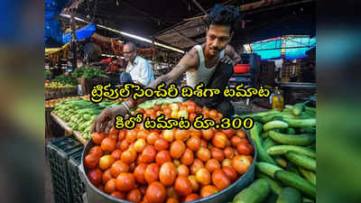 Tomato: టమాట కిలోకు రూ.300.. ట్రిపుల్ సెంచరీ దిశగా పరుగులు! 