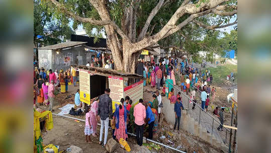 ஆடிப்பெருக்கு-நொய்யல் ஆற்றில் குவிந்த பொது மக்கள்