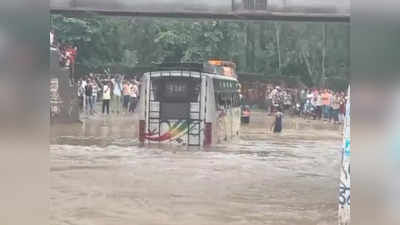 Shahdol Rain News: शहडोल में तूफानी बारिश से कई इलाके जलमग्न, स्कूलों में दो दिन की छुट्टी घोषित