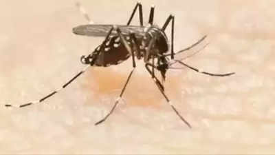 दिल्ली के अस्पतालों में डेंगू के लिए 5% बेड रिज़र्व रखे जाएं, हेल्थ मिनिस्टर ने दिया आदेश