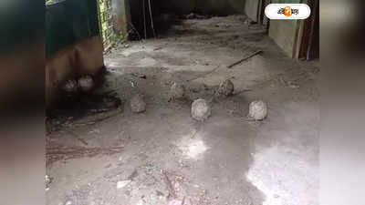 Hooghly News : পরিত্যক্ত ঘর থেকে উদ্ধার ১০ টি তাজা বোমা, আতঙ্ক চুঁচুড়ায়