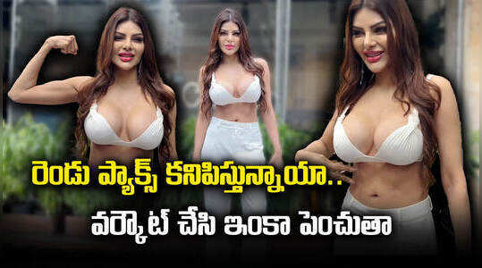Sherlyn Chopra - రెండు ప్యాక్స్ కనిపిస్తున్నాయా వర్కౌట్ చేసి ఇంకా పెంచుతా: షెర్లిన్ చోప్రా