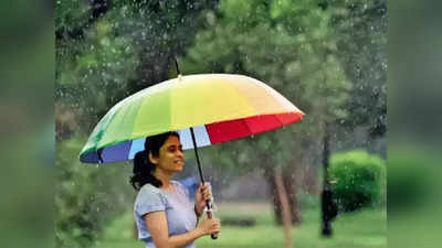 Rajasthan Weather: राजस्थान में फिर झमाझम बारिश का अलर्ट, जानिए दौसा-अलवर से लेकर जयपुर तक आज कैसा रहेगा मौसम