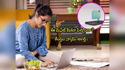 ITR Refund: ఉద్యోగులూ ఈ పొరపాటు చేయొద్దు.. ఐటీ రిఫండ్‌పై కేంద్రం బిగ్ అలర్ట్!