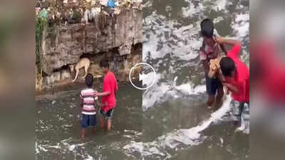 Viral Video: পথকুকুরকে বাঁচাতে প্রাণপাত! নর্দমার ধার থেকে চারপেয়ে উদ্ধারে দুই খুদে, মন জয় নেটপাড়ার
