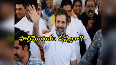 2024 Elections: రాహుల్‌ పార్లమెంటుకు హాజరవుతారా.. లోక్‌సభ ఎన్నికల్లో పోటీ చేస్తారా? 