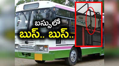 ఫుల్ రష్‌గా ఉన్న రన్నింగ్ బస్‌లో పాము.. హడలెత్తిపోయిన ప్రయాణికులు.. పాపం చివరికి..! 