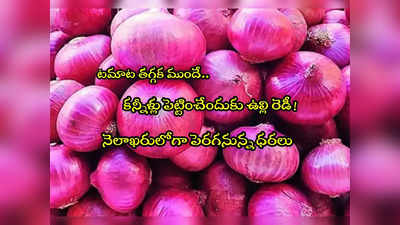 Onion Prices: సామాన్యులపై ధరల పిడుగు.. ఉల్లి రేట్లు పెరుగుతున్నాయి.. కిలో ఎంతంటే? 