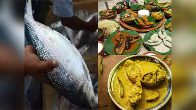 Hilsa Fish: শহরে চলছে ইলিশ উৎসব!  সেরা 6 রেস্তোরাঁর ইলিশ-স্পেশাল মেনুর দাম কত? জেনে নিন