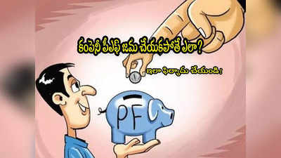 మీ కంపెనీ PF అకౌంట్‌లో నెల నెలా డబ్బులు జమ చేయట్లేదా? అయితే ఇలా చేయండి.. 