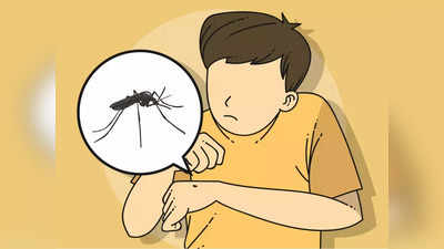 Ghaziabad में डेंगू से एक और मौत, 5 नए मरीज मिले, जिले में सामने आए 30 केस