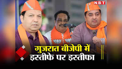 गुजरात बीजेपी में सियासी भूकंप! प्रदीप सिंह वाघेला के बाद वडोदरा शहर महामंत्री सुनील सोलंकी का इस्तीफा