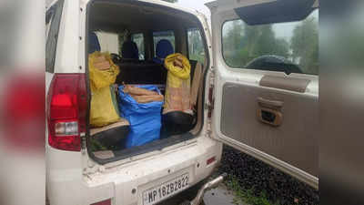 Shahdol News: 63 किलो चंदन की लकड़ी के साथ तीन गिरफ्तार, चोरी करने वाले अंतरराज्यीय गिरोह का खुलासा