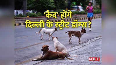 Delhi Stray Dogs: दिल्‍ली के स्ट्रीट डॉग्स का क्‍या होगा? कैद करने के आदेश से MCD का यूटर्न