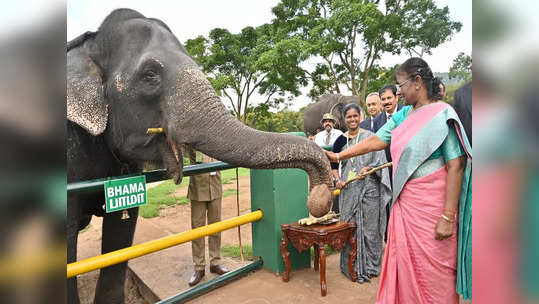 நீலகிரி தெப்பக்காடு யானைகள் முகாமில் குடியரசு தலைவர்-பொம்மன் - பெள்ளி சந்திப்பு