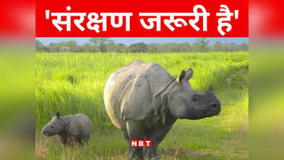 Bihar: बिहार में गठित होगा ‘राइनो टास्क फोर्स’, गैंडों के संरक्षण के लिए नीतीश सरकार की बड़ी पहल