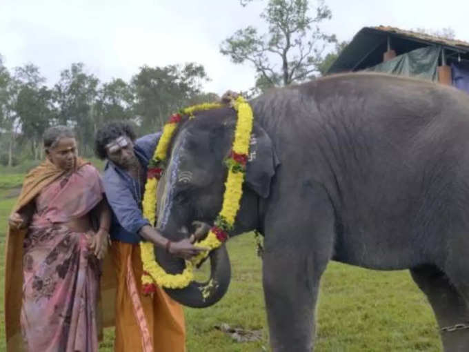 the elephant whisperers oscar