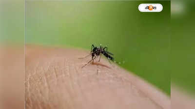 Dengue Fever : দ্রুত ছড়াচ্ছে ডেঙ্গি, গত সপ্তাহে সর্বাধিক আক্রান্ত ১,৩৫০
