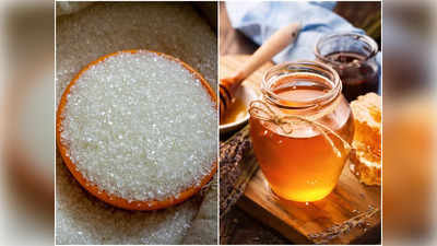 Honey Vs Sugar: নীরোগ জীবন কাটাতে কি চিনির বদলে মধু খাওয়া উচিত? জেনে নিন এই প্রসঙ্গে কী জানালেন পুষ্টিবিদ!