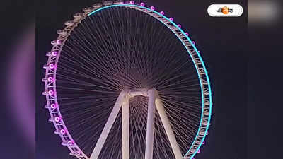 Ferris Wheel Dubai : আচমকাই বন্ধ বিশ্বের বৃহত্তম ফেরিস হুইল, নেপথ্যে কোন রহস্য?