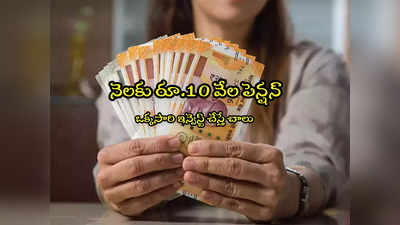 Annuity Scheme: నెల నెలా రూ.10 వేలు పెన్షన్.. అద్భుతమైన ప్లాన్.. ఇప్పుడే తీసుకోండి మరి!