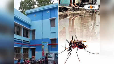 Dengue Treatment : হু হু করে বাড়ছে ডেঙ্গি আক্রান্ত রোগীর সংখ্যা, নাজেহাল অবস্থা শান্তিপুর হাসপাতালে