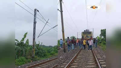 Krishnanagar City Junction : হনুমান লাফিয়ে পড়ায় ছিঁড়ল ওভারহেড তার! কৃষ্ণনগর শাখায় রেল যোগাযোগ ব্যাহত, ভোগান্তি যাত্রীদের
