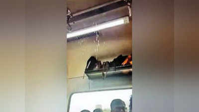Mumbai Local: एसी लोकलच्या छतातून संततधार, त्रासामुळे प्रवासी हैराण, पश्चिम रेल्वेचा Video, नेमकं काय घडलं?