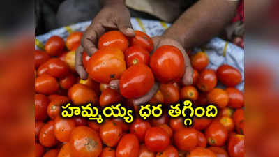 Tomato Price: సామాన్యులకు గుడ్‌న్యూస్.. తగ్గిన టమాటా ధర, కేజీ ఎంతంటే.. 