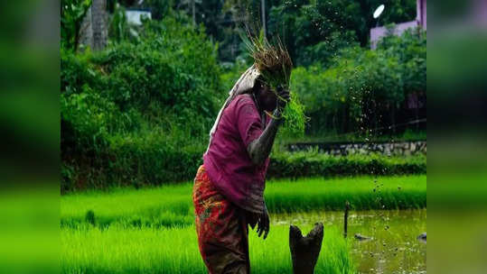 Krishi dharshan: உலகிலேயே அதிக எபிசோட்கள் ஒளிபரப்பான டிவி ஷோ...ஐம்பது ஆண்டுகளை கடந்து சாதனை படைத்த இந்திய நிகழ்ச்சி..!