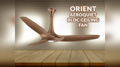 Orient Ceiling Fan: बिजली के बिल में 6000 रुपये तक की बचत, बिना आवाज के सुपरफास्ट स्पीड